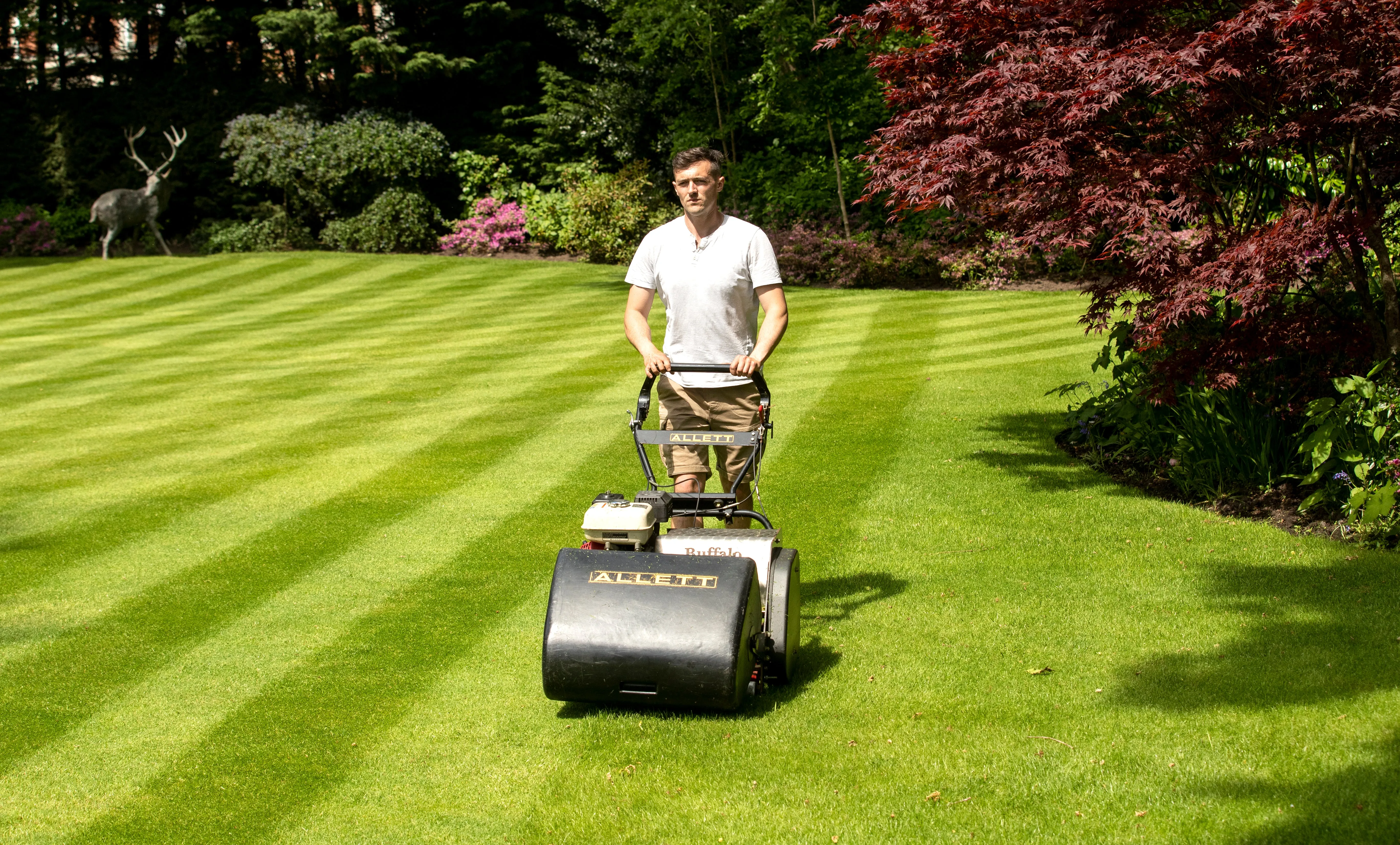 Allett Buffalo 20 Cylinder Mower