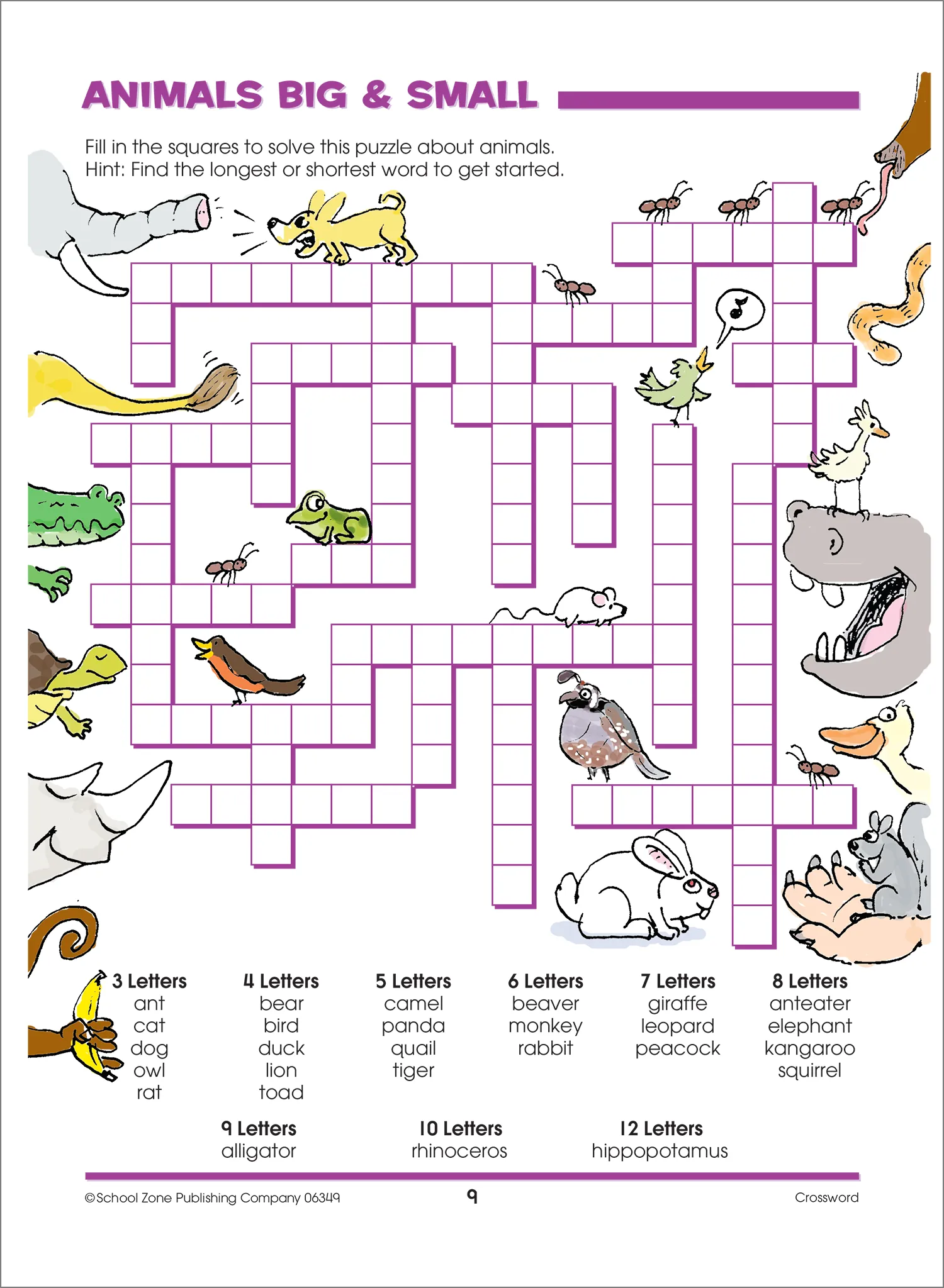 Big Codes, Puzzles & More Workbook