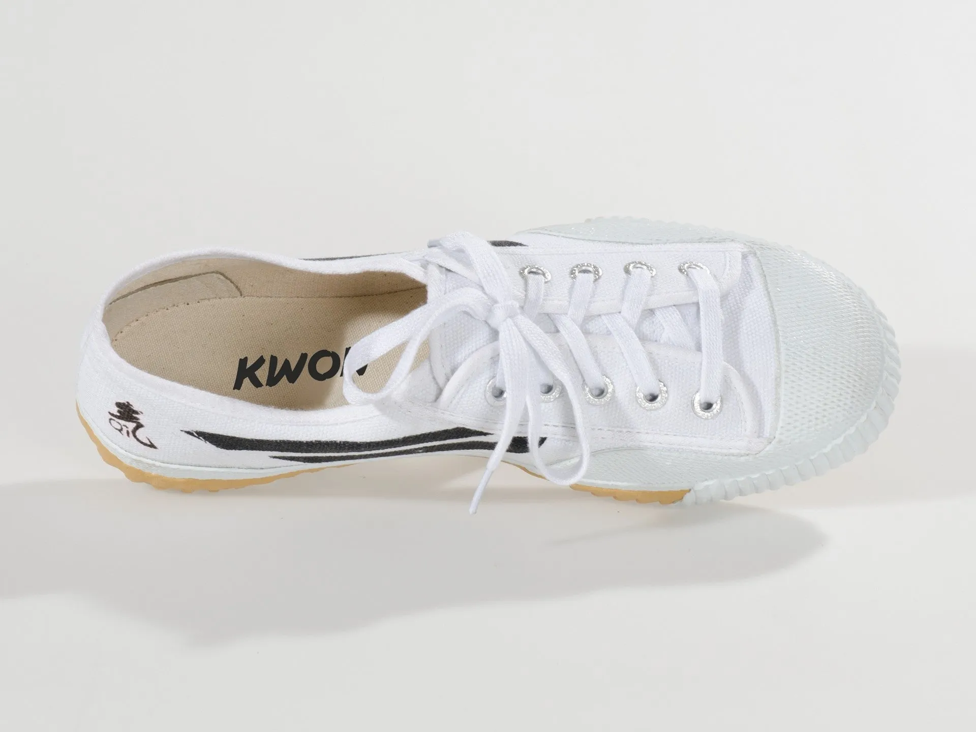 Canvas Shoes
