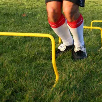 Mini Hurdle | 30cm