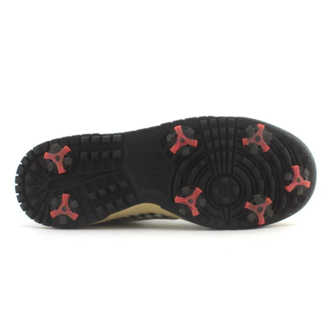 NIKE DUNK-NG-GOLF-SHOES
