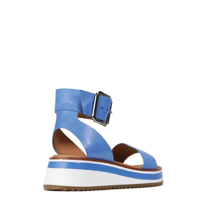 Sporting - Electric Blue