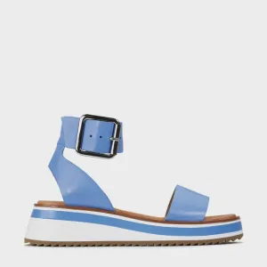 Sporting - Electric Blue